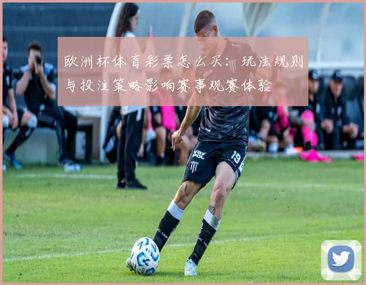 欧洲杯体育彩票怎么买：玩法规则与投注策略影响赛事观赛体验