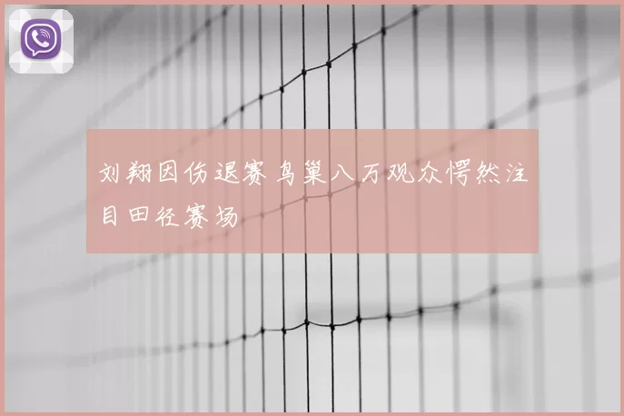 刘翔因伤退赛鸟巢八万观众愕然注目田径赛场