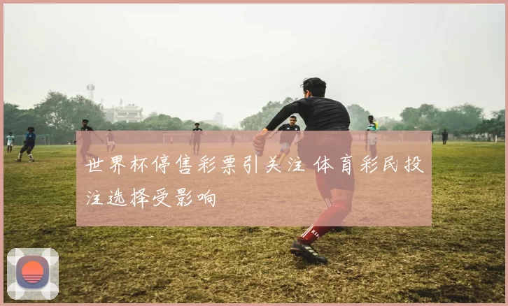 世界杯停售彩票引关注 体育彩民投注选择受影响