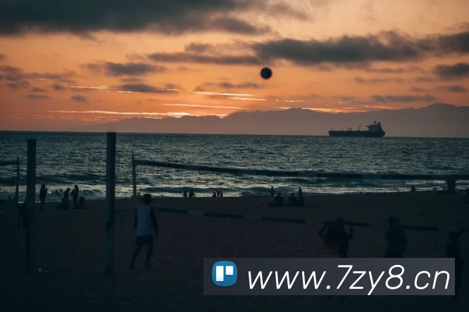 App Interface Preview